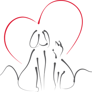 Team Page: BVSPCA Delaware Team